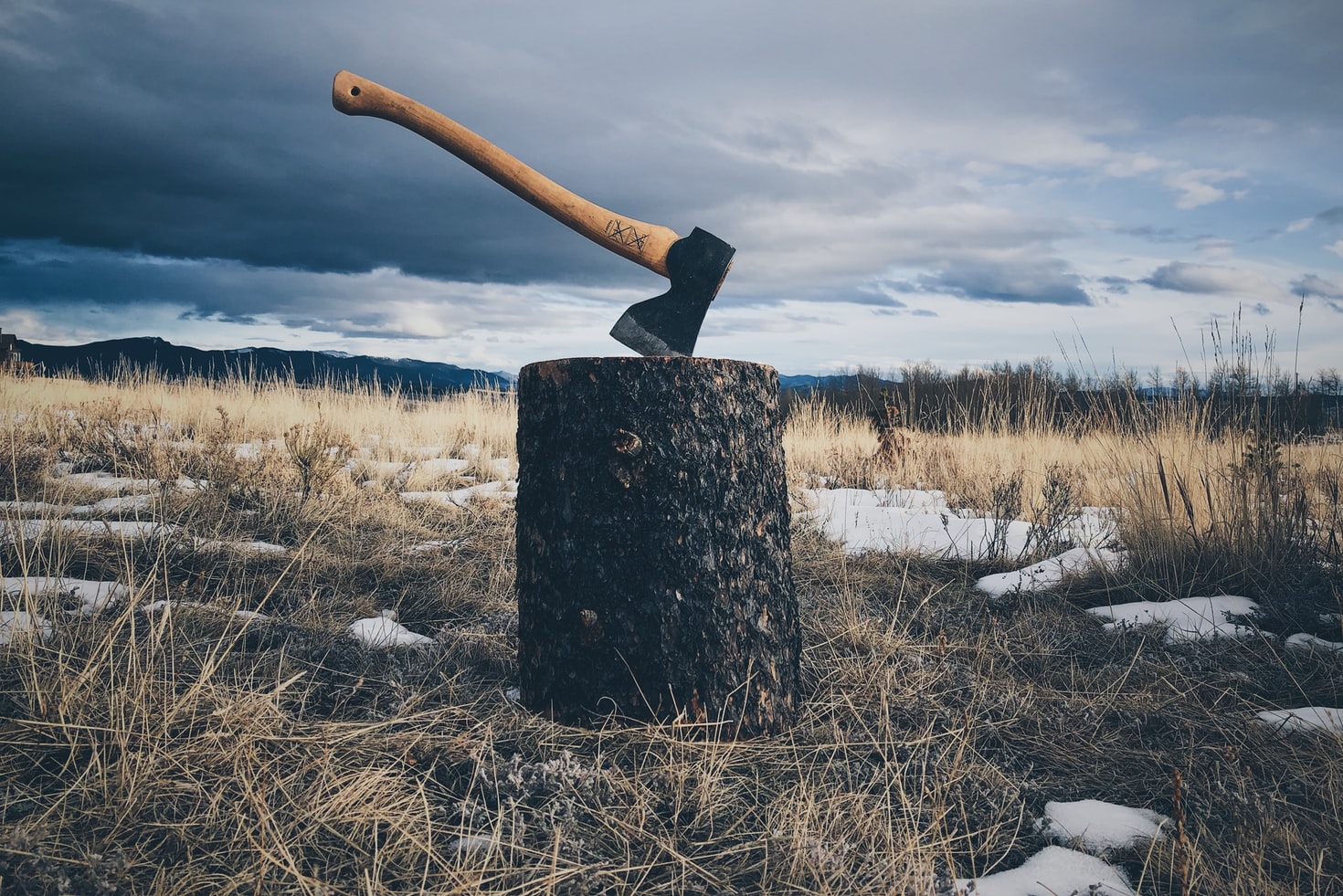 4 Factors and Qualities to Consider when Getting an Axe