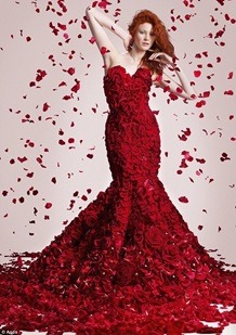 A Rose Dress for Valentine