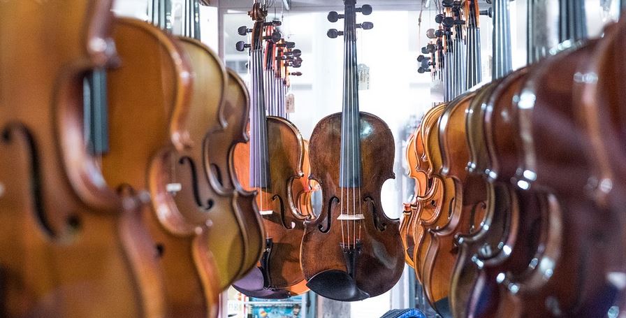 A Viola Buyer's Guide for Beginners