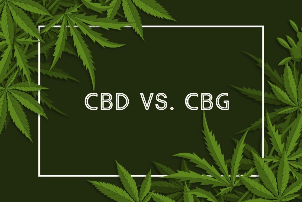CBD vs. CBG
