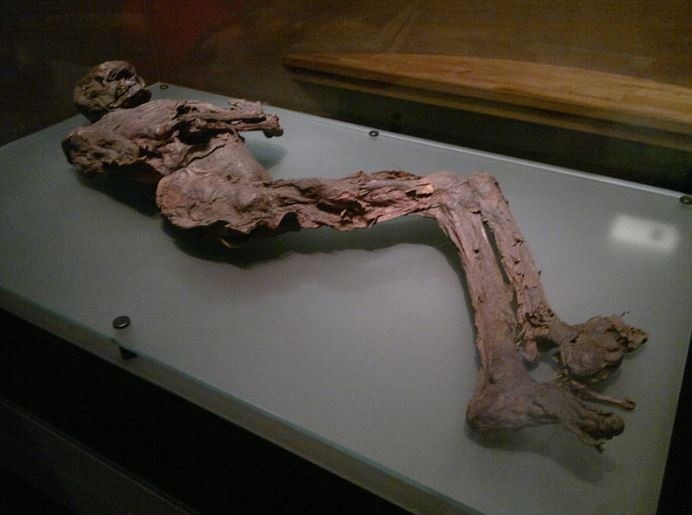 Naturally preserved bog body of Gallagh Man, Ireland, c. 470–120 BCE