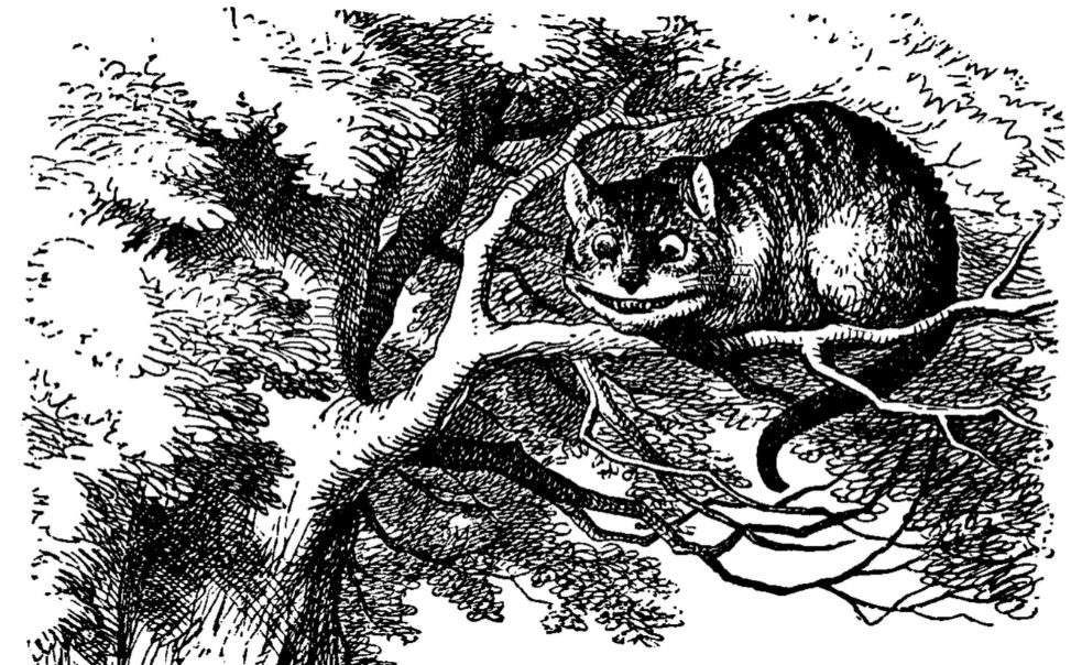 The Cheshire Cat In black and white sketch