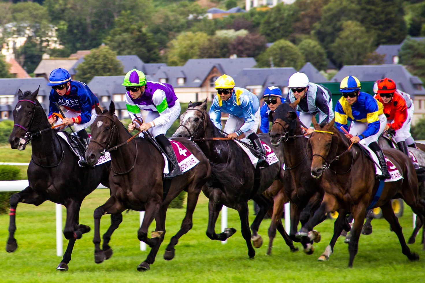 What Are The Most Prestigious Flat Horse Races In The World