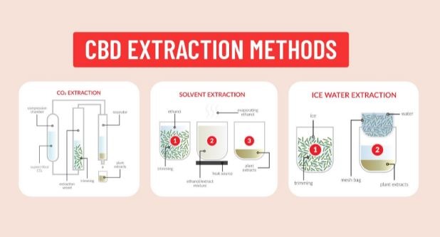 CBD Extraction methods