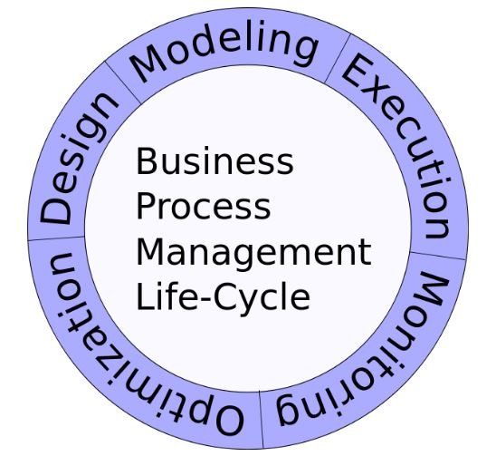The Business Life Cycle