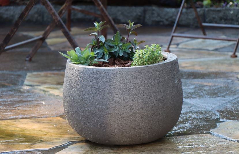 Why Should you take cement planters