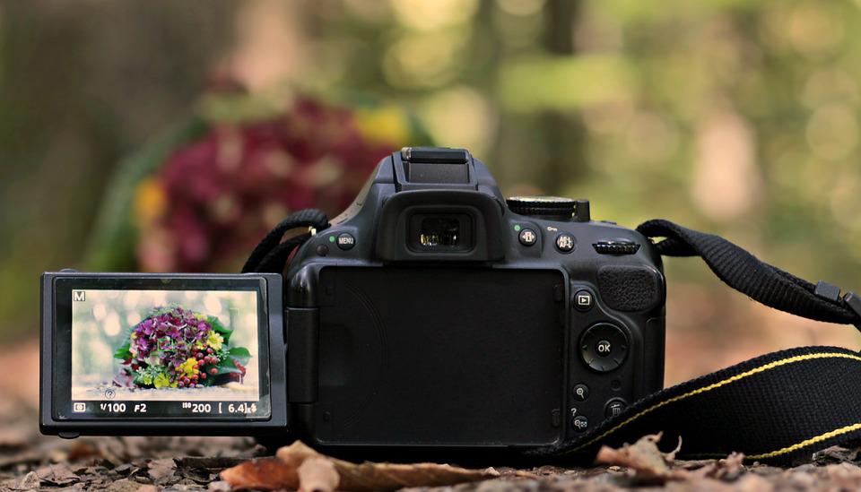 6 Tips For Capturing Beautiful Fall Photos