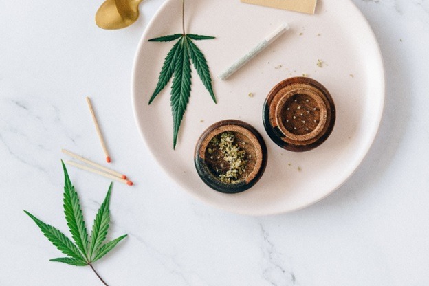 Everything Beginners Need to Know About Medical Cannabis