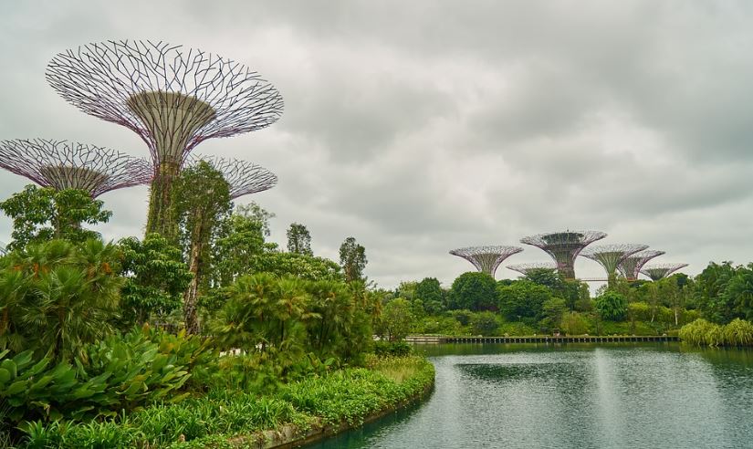 Singapore nature park