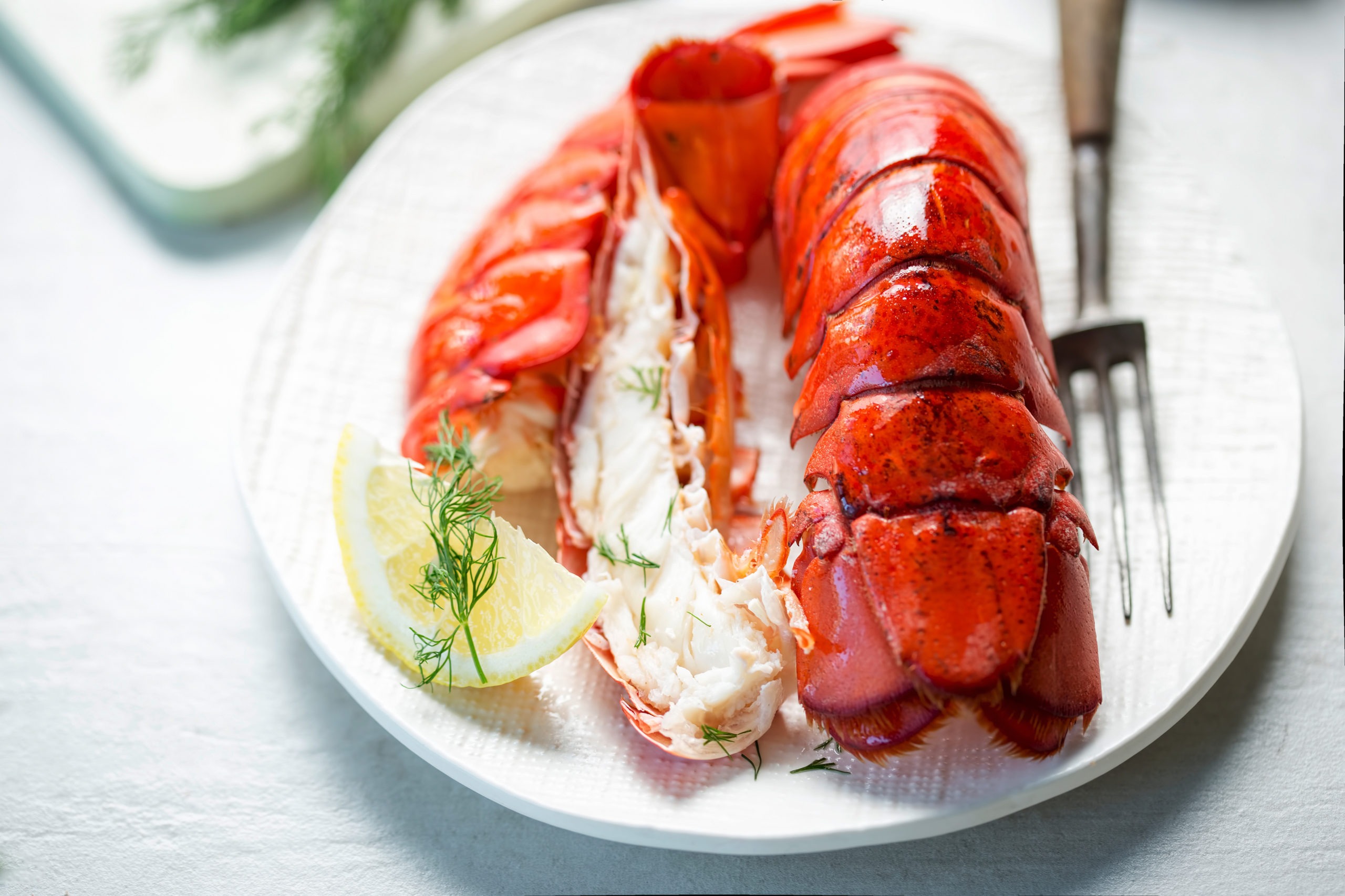 cooked lobster tail
