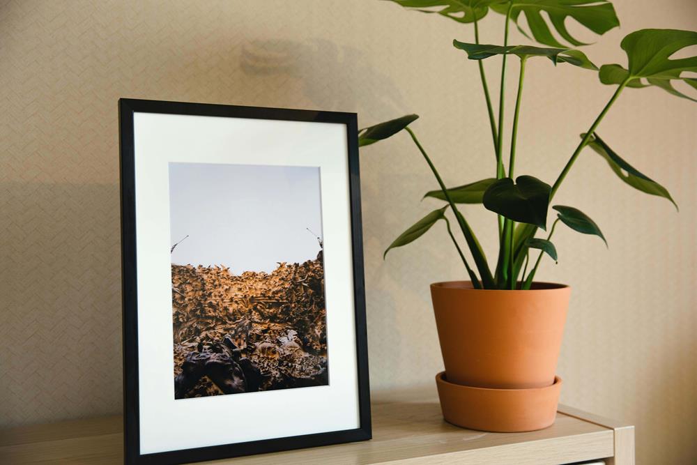 A framed art beside a plant pot