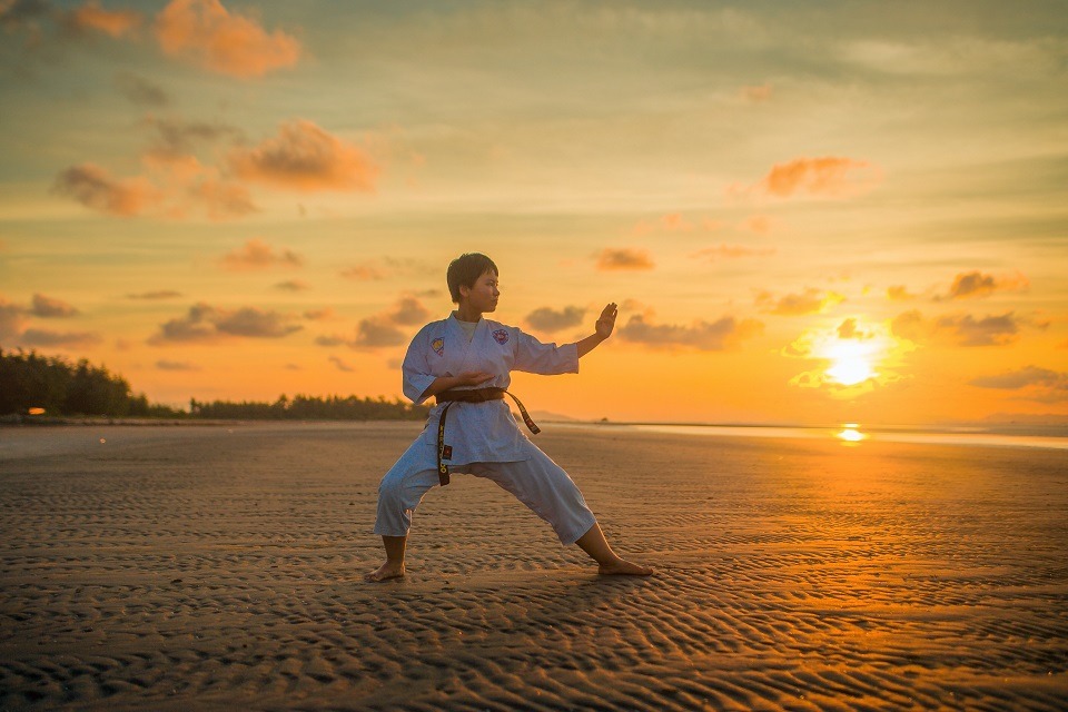 Should my kids learn martial arts