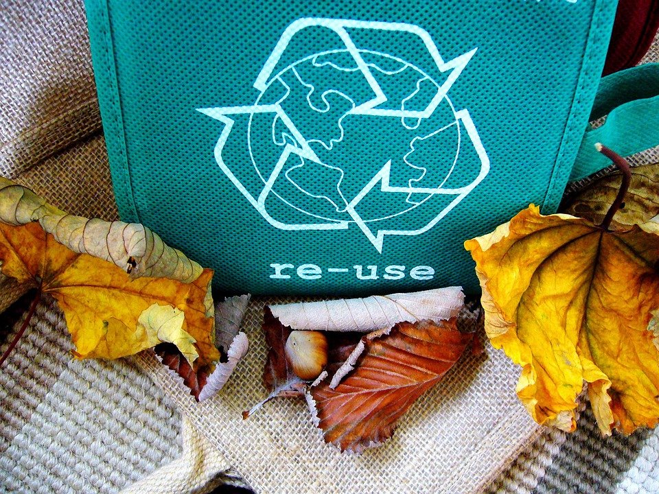 Best Ways To Reduce, Reuse, And Recycle For A Greener World
