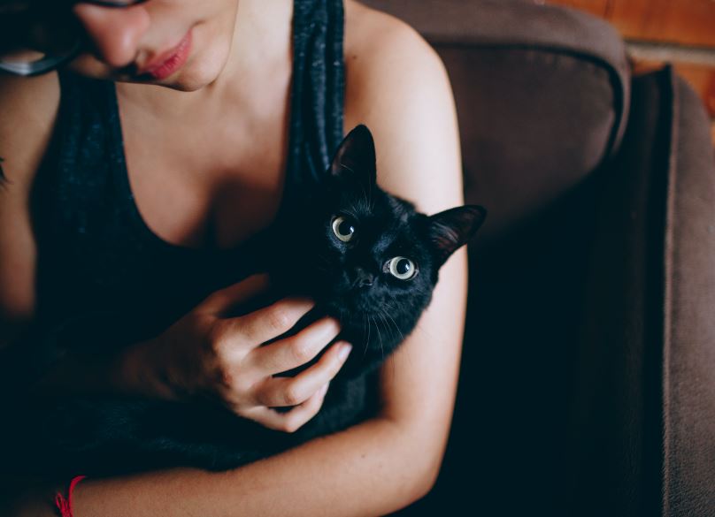 Person Carrying Black Cat