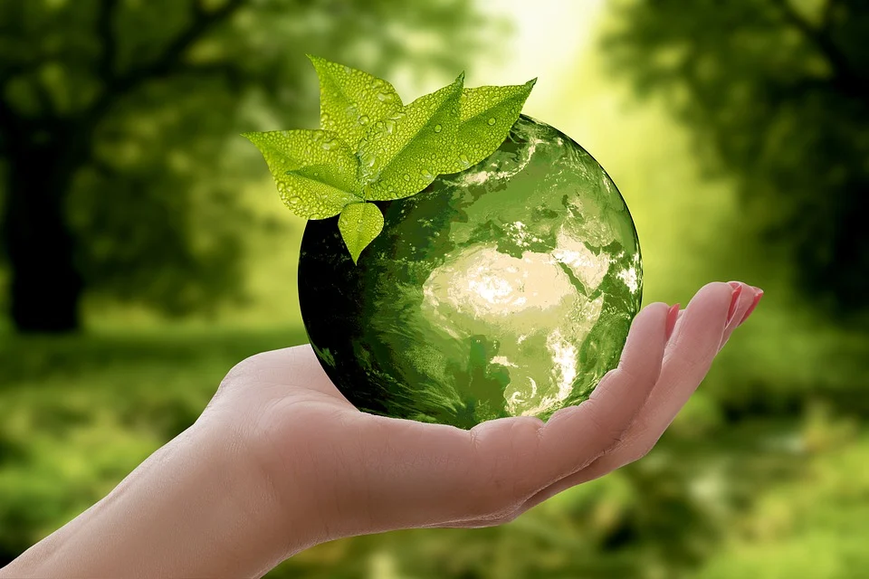 4 Ways to be More Environmentally-Friendly in Your Everyday Life
