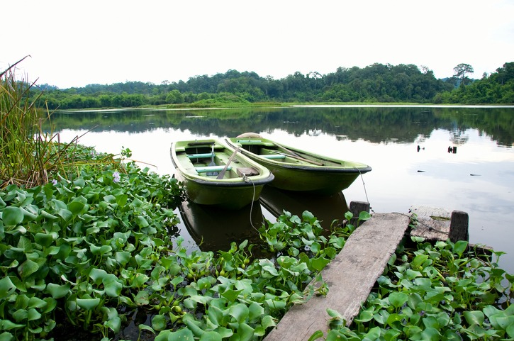 Cat Tien National Park – one of top spots for ecotourism in Vietnam
