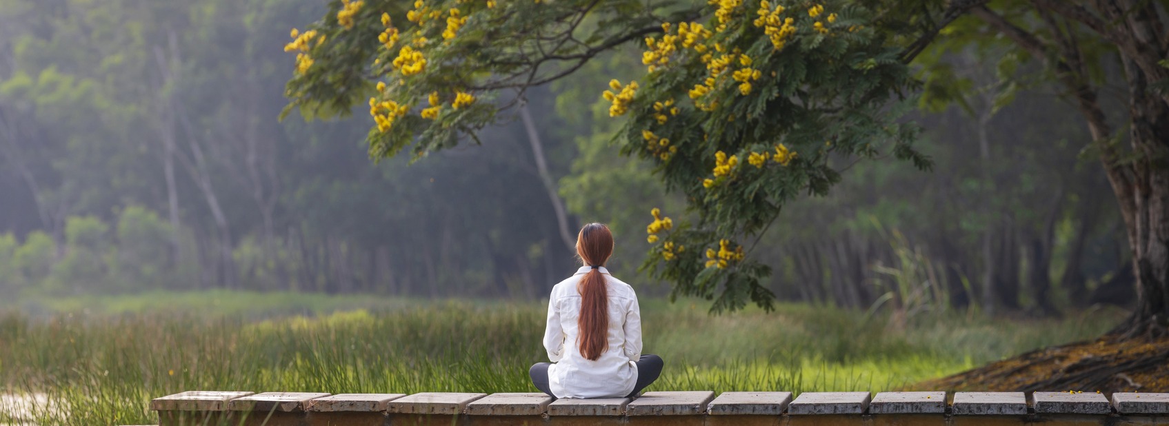 How You Can Reconnect with Nature and Have More Inner Peace