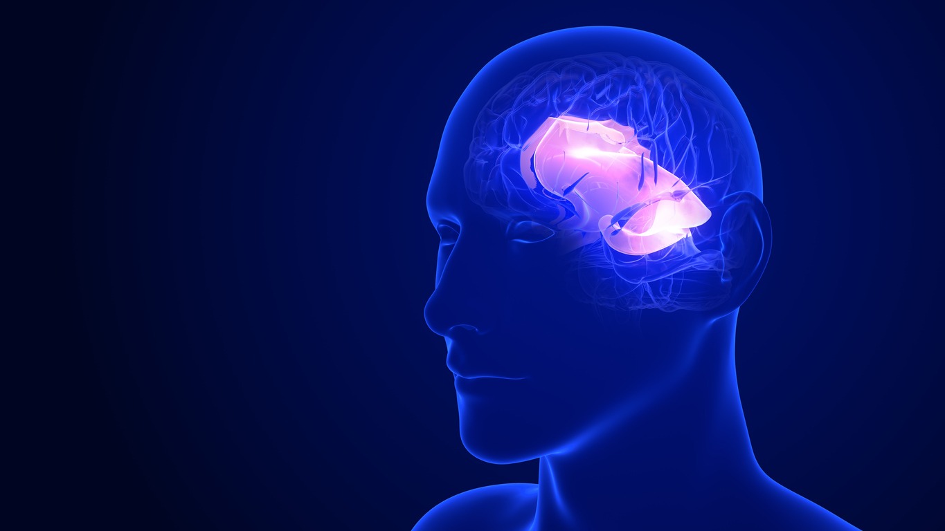 Why Alpha-GPC Is The Best Nootropic For Memory Enhancement