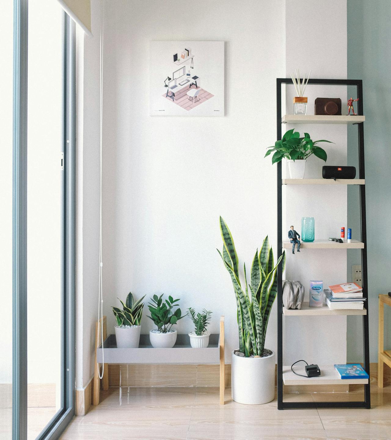creative shelving in apartment