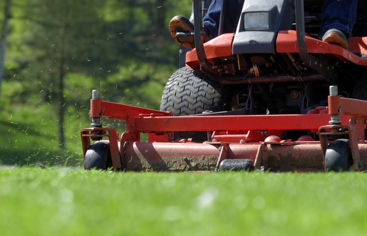The Ultimate Seasonal Lawn-Mowing Guide: How Often Should You Mow Your Lawn?
