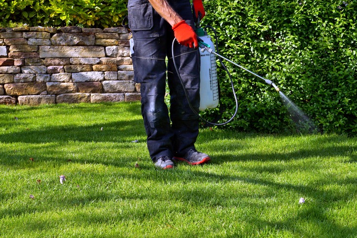 A Step By Step Guide To Lawn Fertilization
