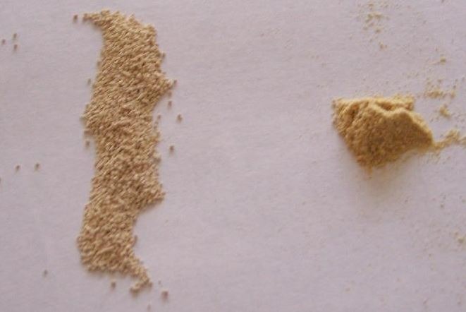 Dry winemaking yeast (left) and yeast nutrients used in the rehydration process to stimulate yeast cells