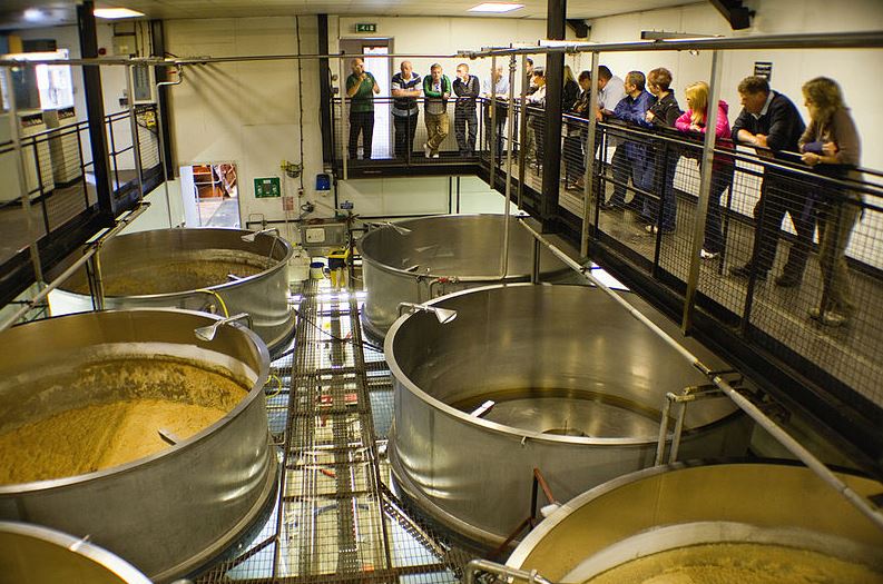 Open vessels showing fermentation taking place