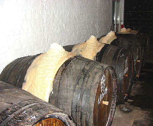 Spontaneous fermentation at Timmermans in Belgium