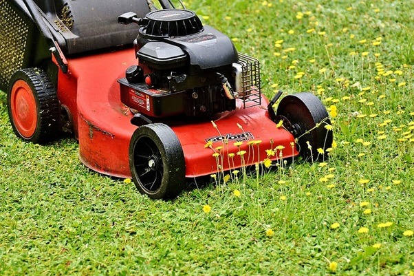 How To Use Grass Clippings On The Lawn