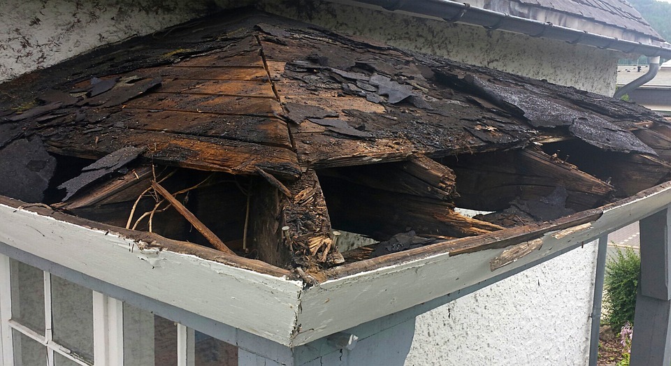 Roof Leaks Causes, Prevention, and Repair