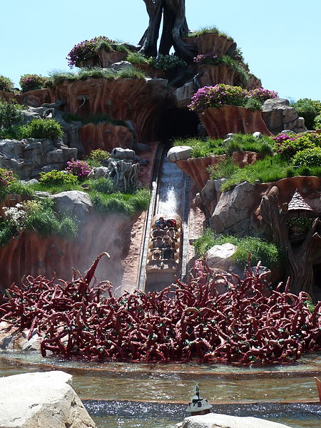 Splash Mountain Tokyo Disneyland
