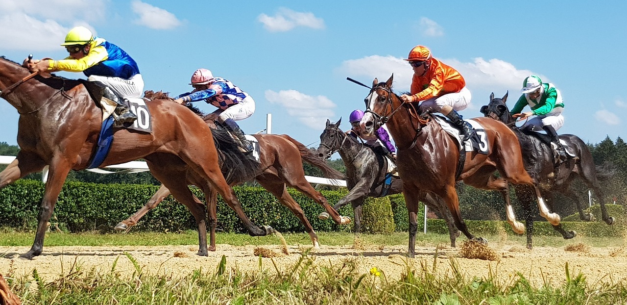 Key Factors to Consider Before Choosing Horse Betting Offers