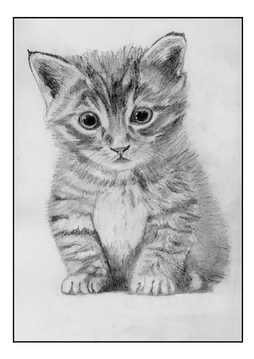 Bringing Felines to Life: Expert Tips and Exercises for Drawing Cats
