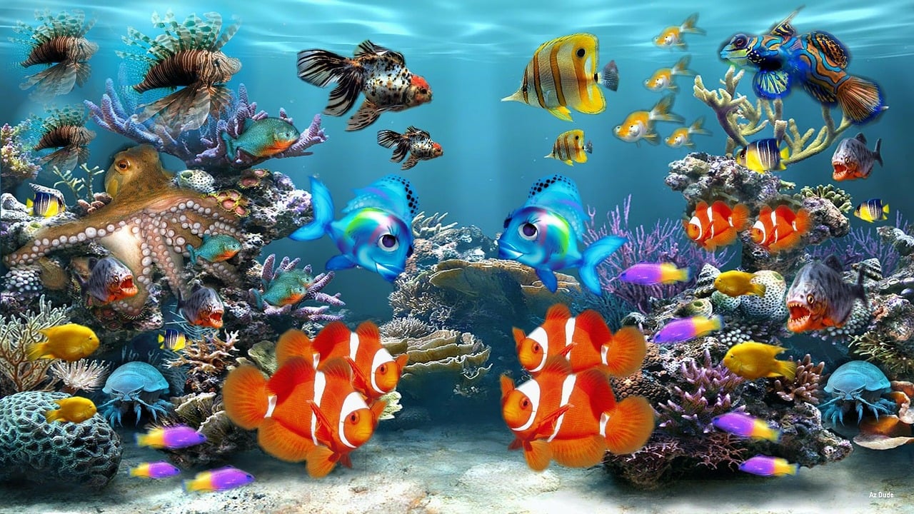 Tips for Maintaining a Healthy Fish Tank