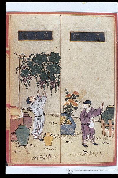 Illustration of the cultivation of grapes and winemaking during the Ming Dynasty Materia Dietetica