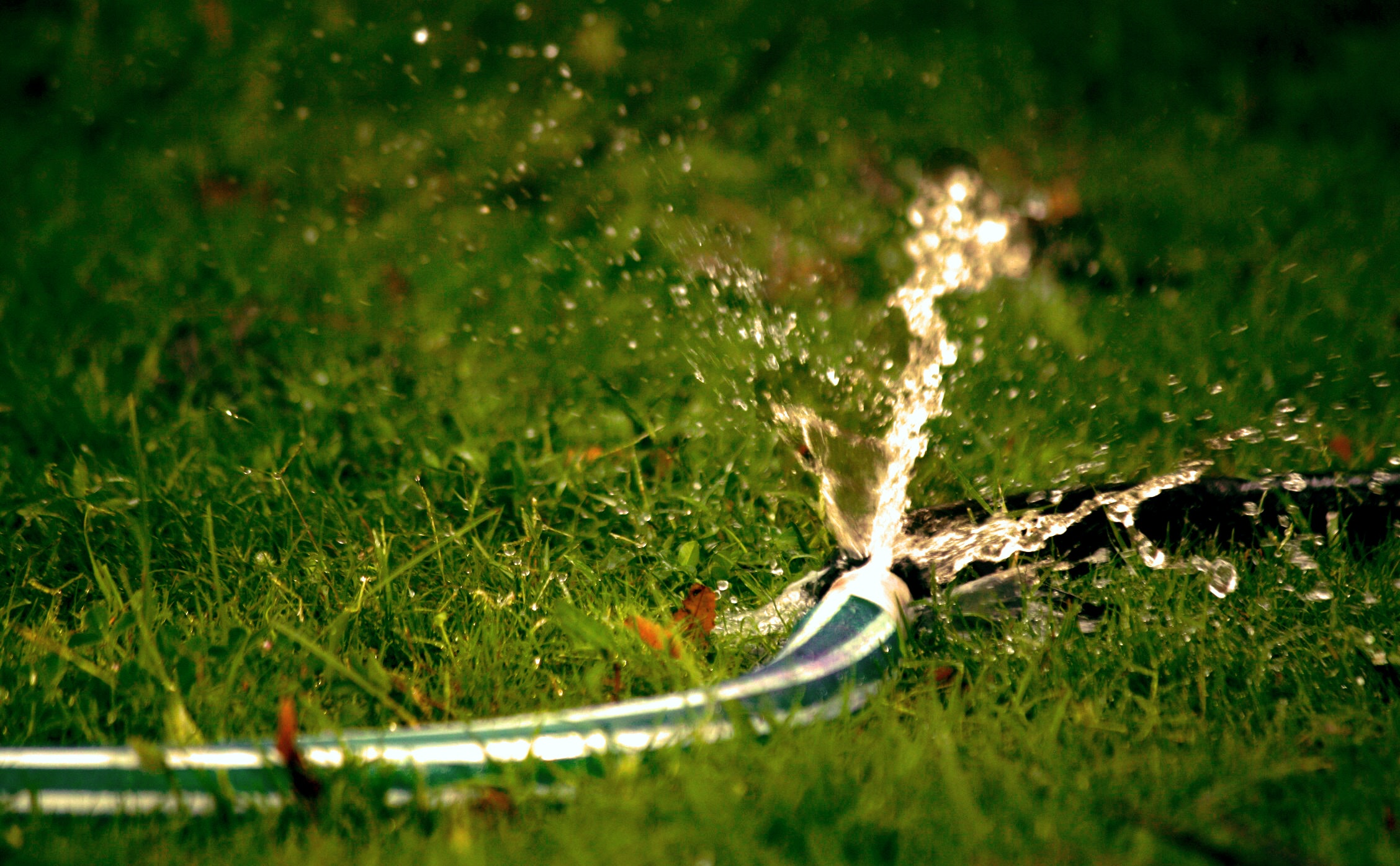 Water Conservation and Hidden Leaks How Fixing Leaks Can Help the Environment