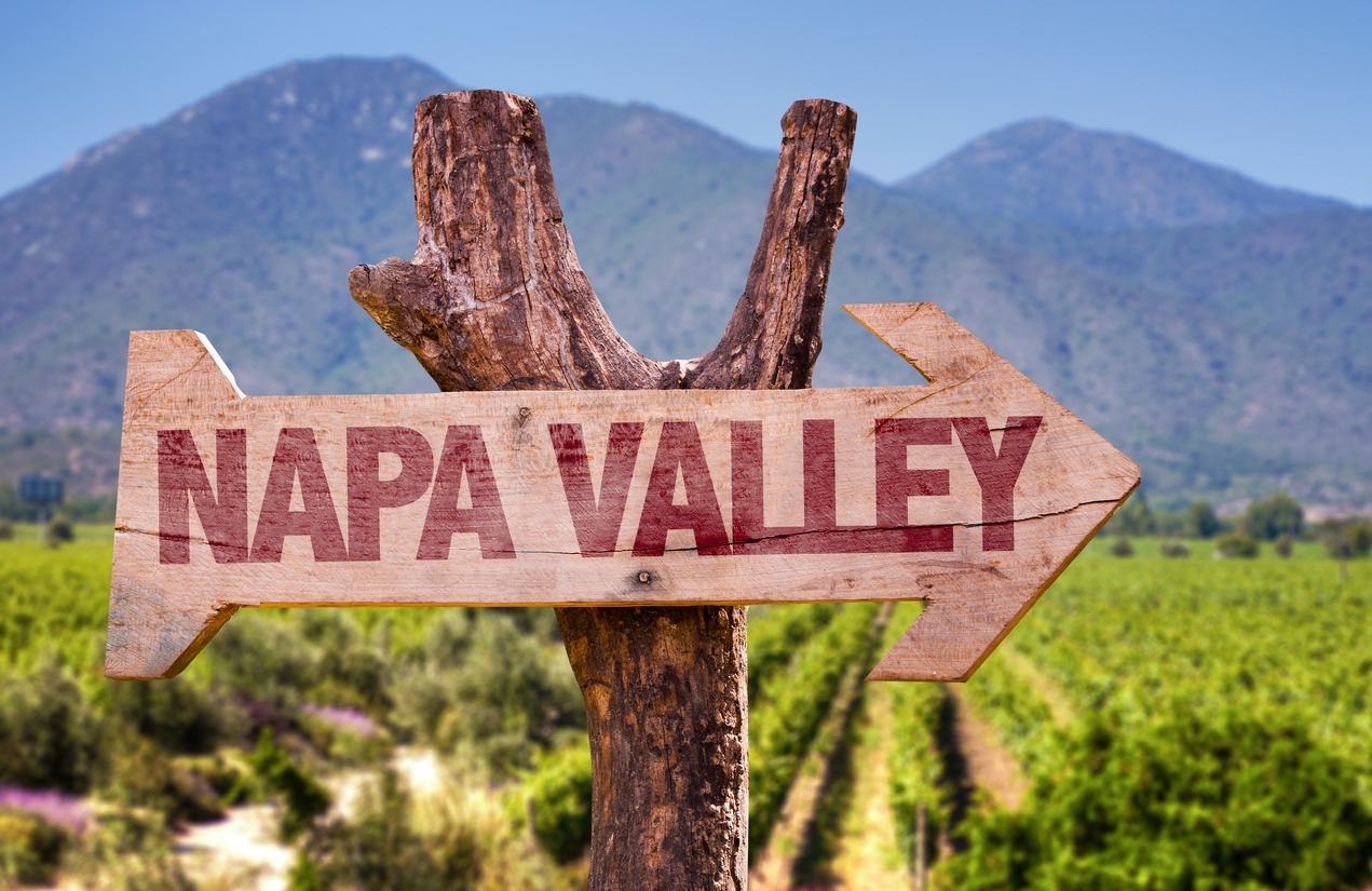 a Napa Valley direction sign with a vineyard in the background