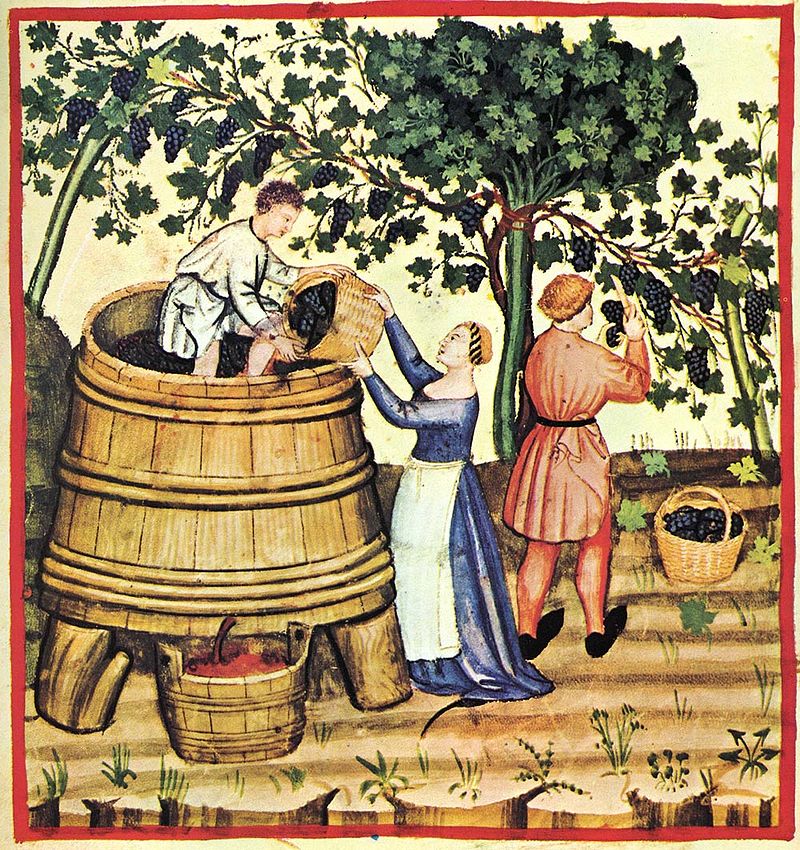 landownership system of complant that promoted the planting of uncultivated lands with new vineyards during the Middle Ages