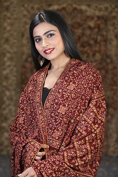 pure pashmina embroidered shawl