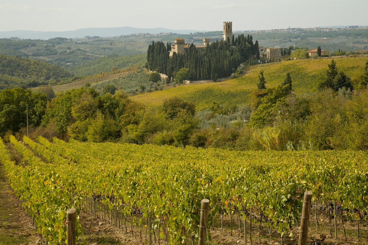 vineyards in Chianti Hills in Tuscany
