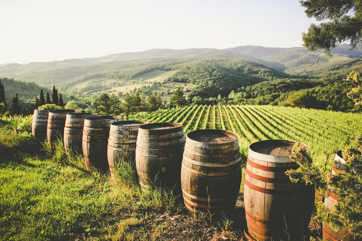 wine barrels at a vineyard in Chianti, Italy