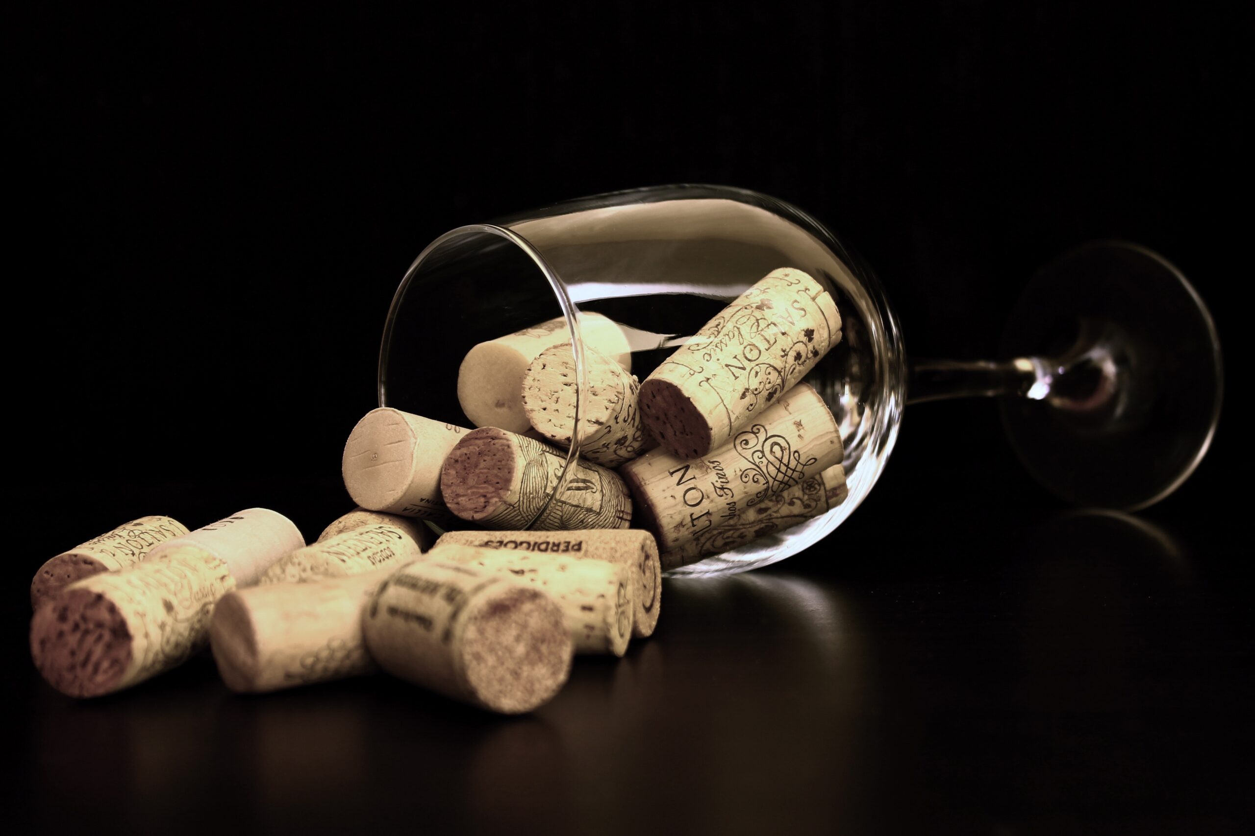From Trees to Bottles The Journey of Corks