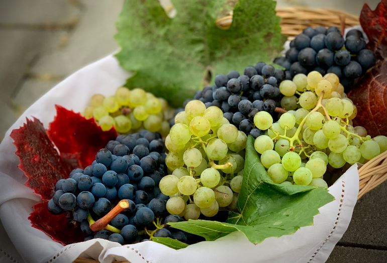 Grapes, Plant, Grape, Food, Fruit, Green, Weiterstadt