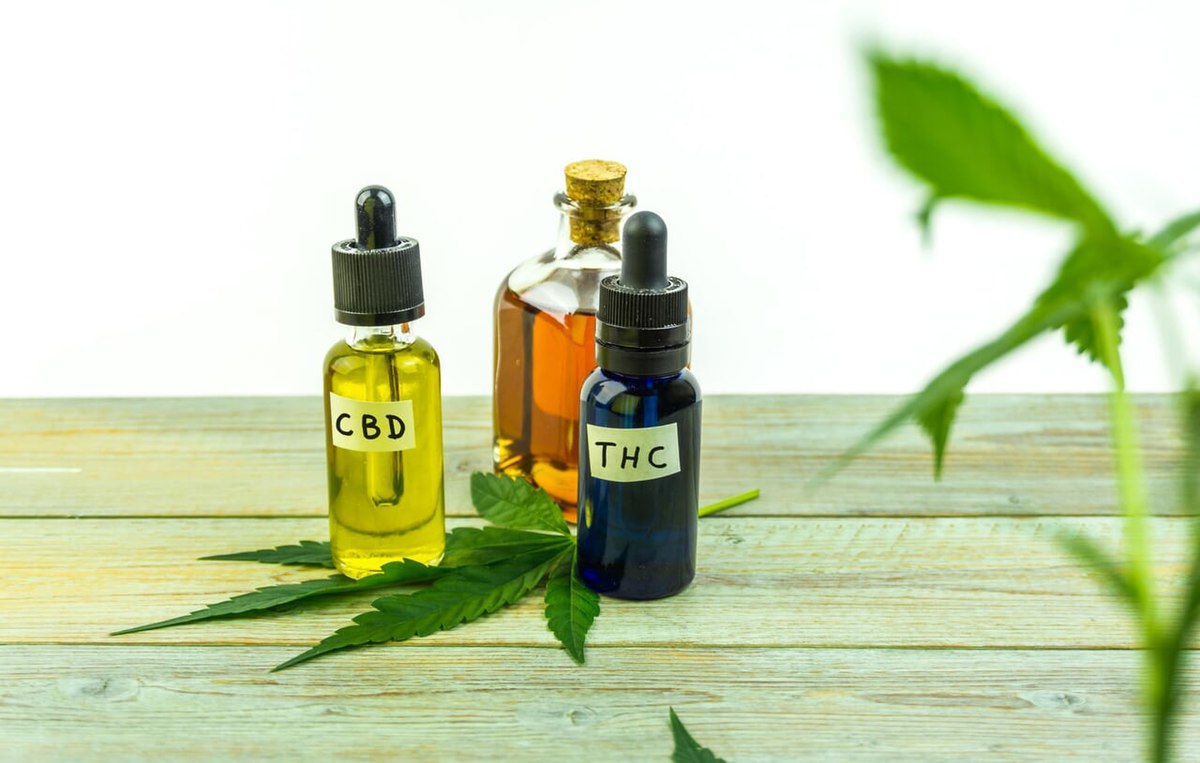 The Benefits of Using CBD Oil for Your Pets