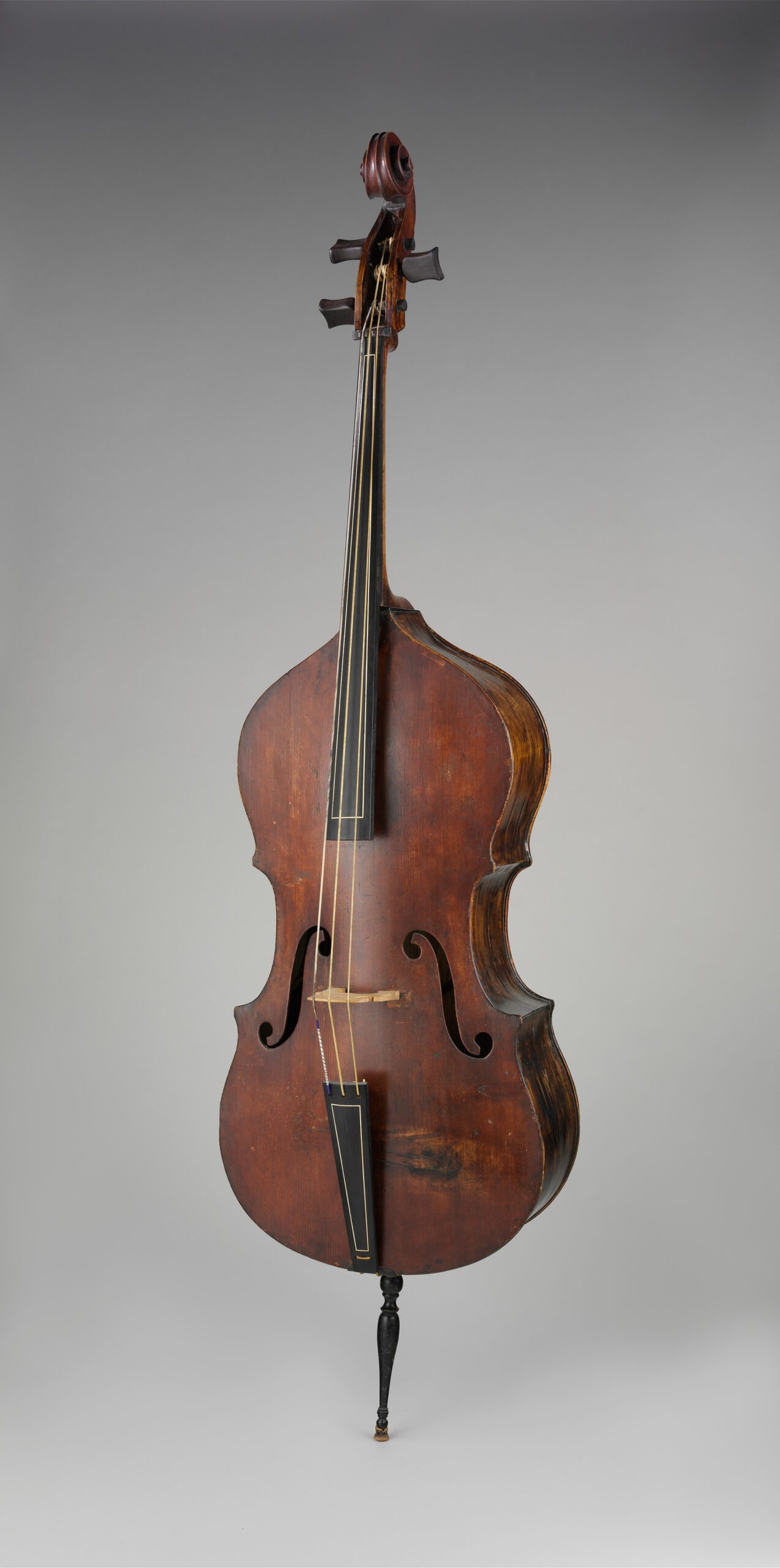 An Introduction to the Double String Bass and Its Magic