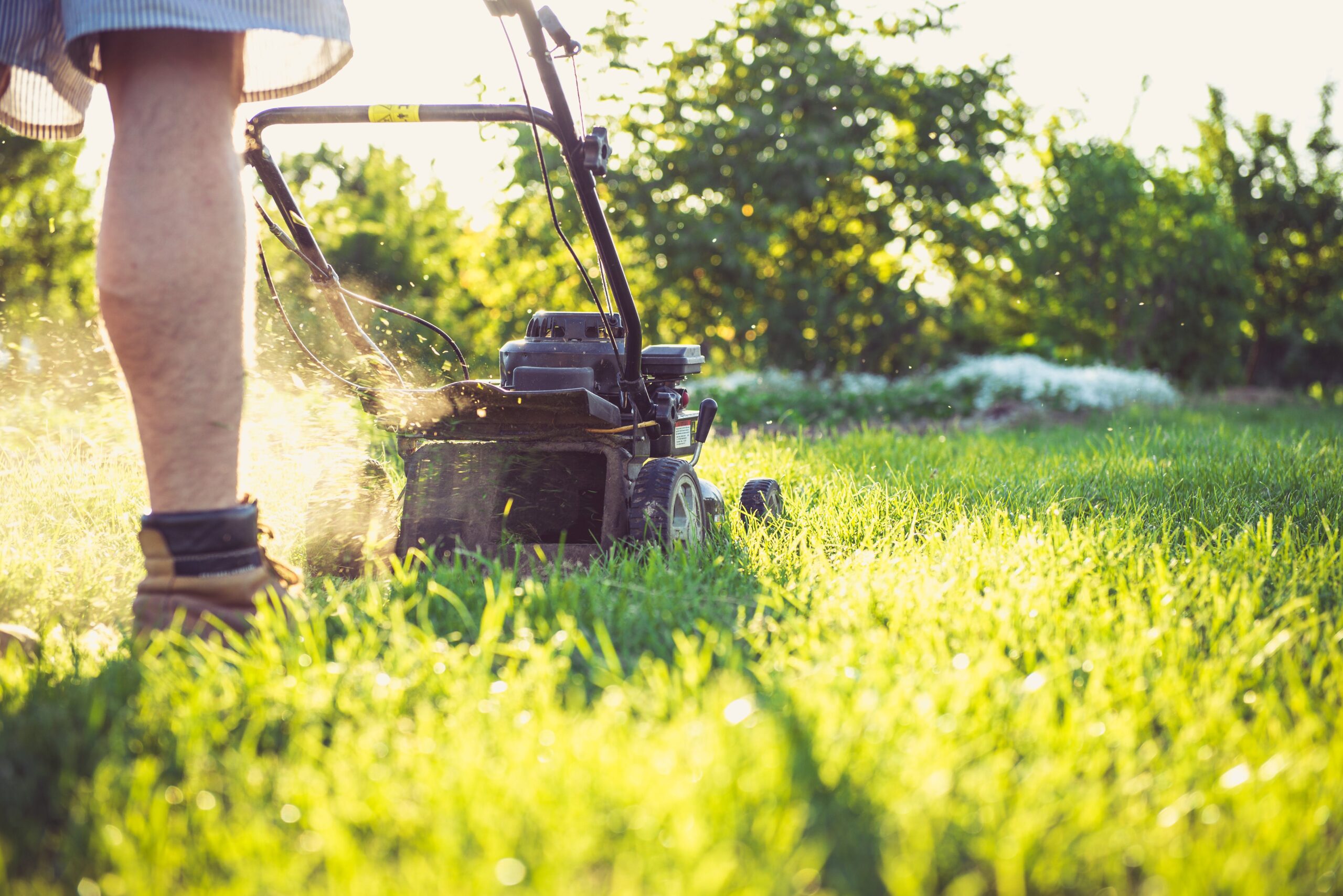 Why Your Lawn Care Business Is Not Getting Leads Online