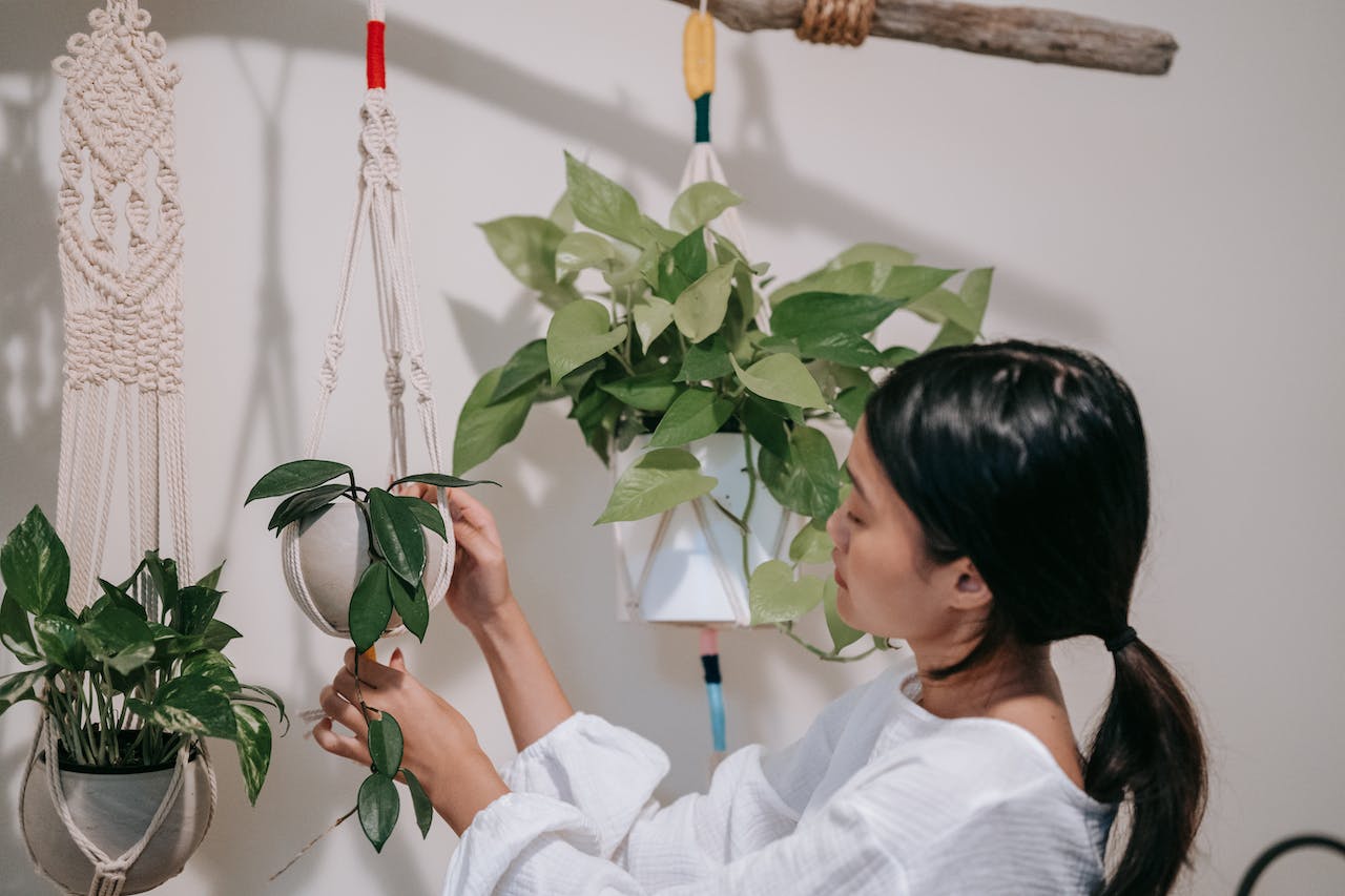 woman with hanging plants