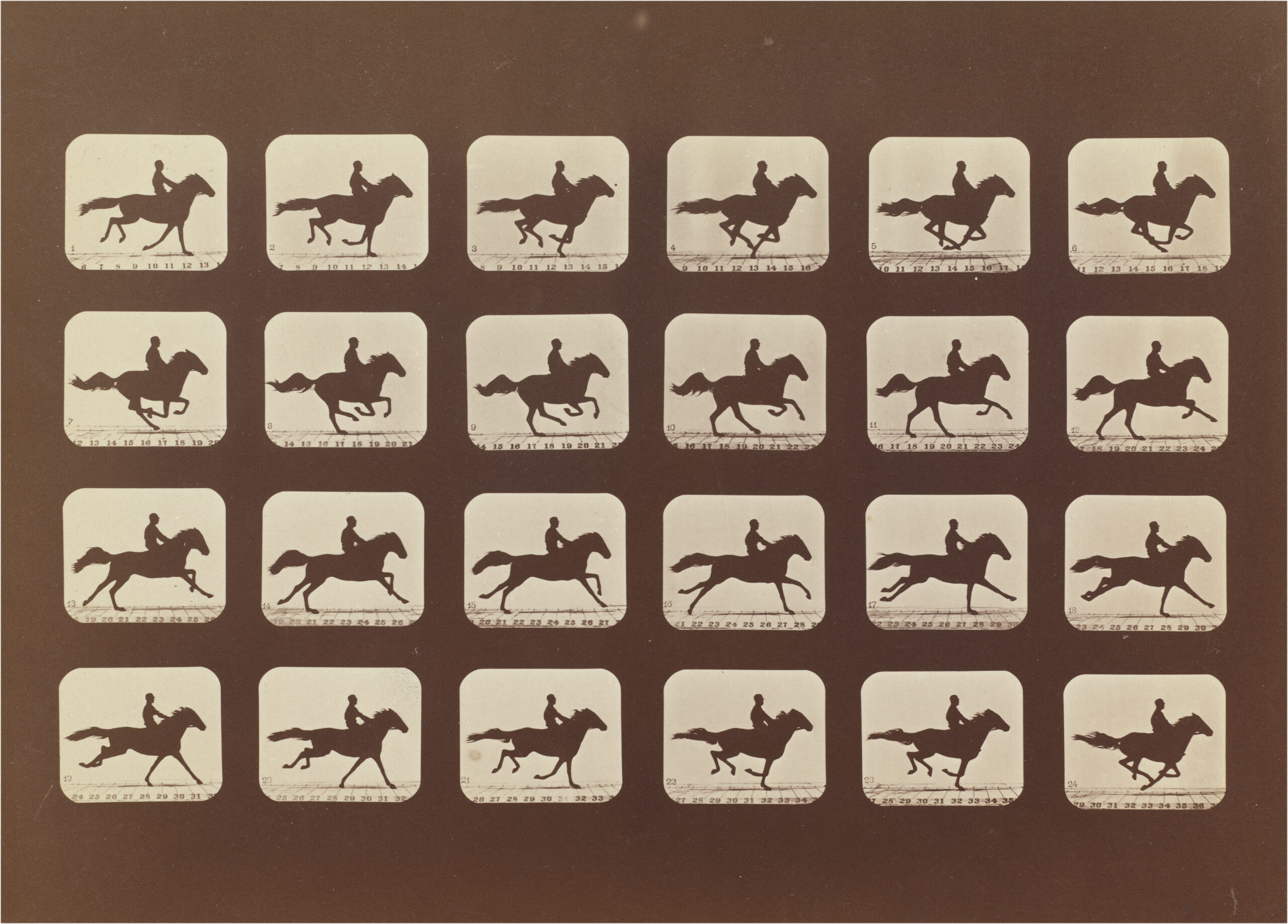 Eadweard Muybridge Horses Running Phyrne L No 40 1879