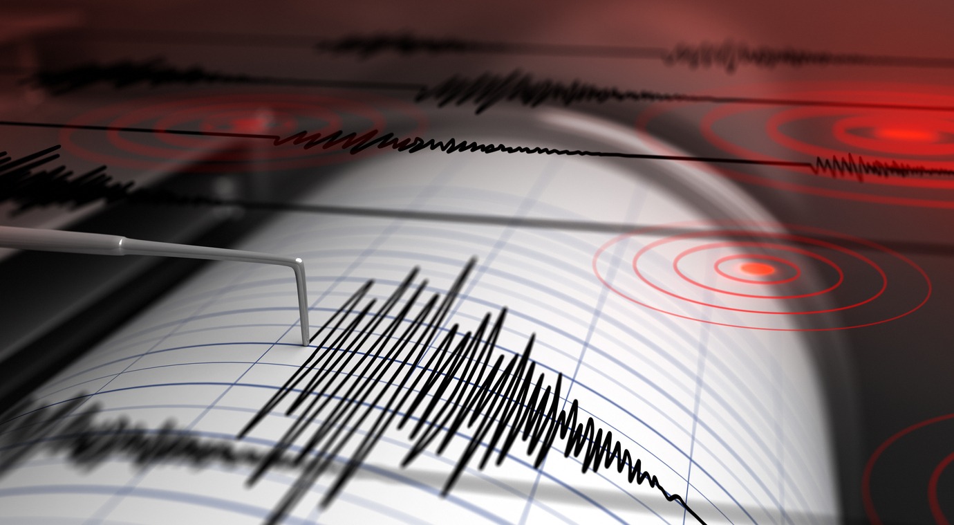 a seismograph reading