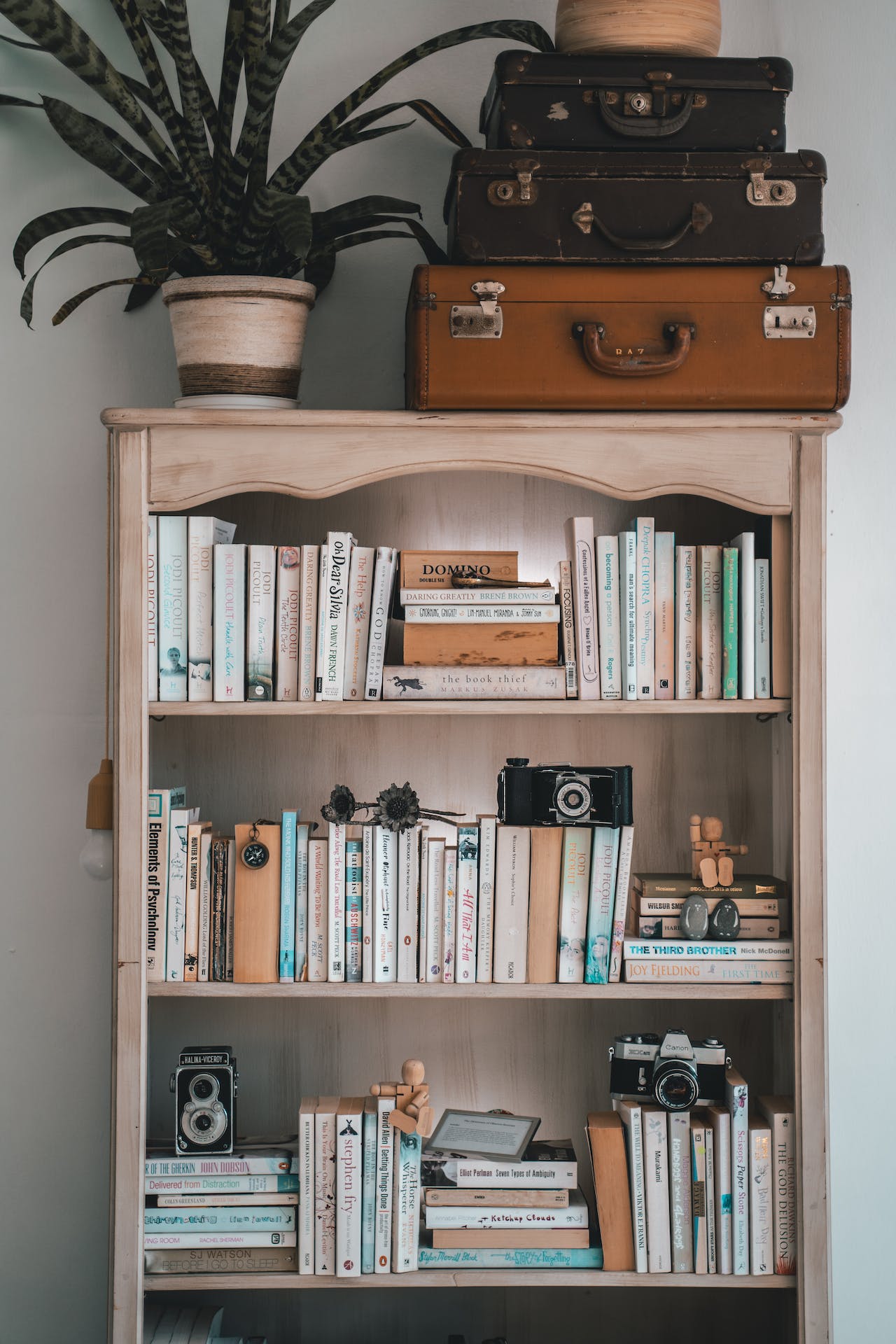 bookshelves in apartment